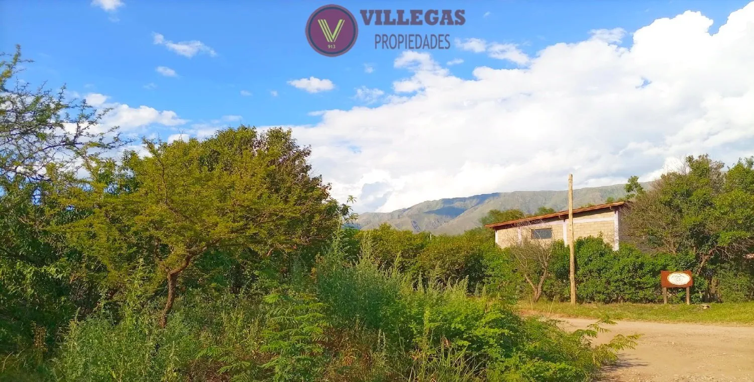 Foto 1 de TERRENO en VENTA en MERLO