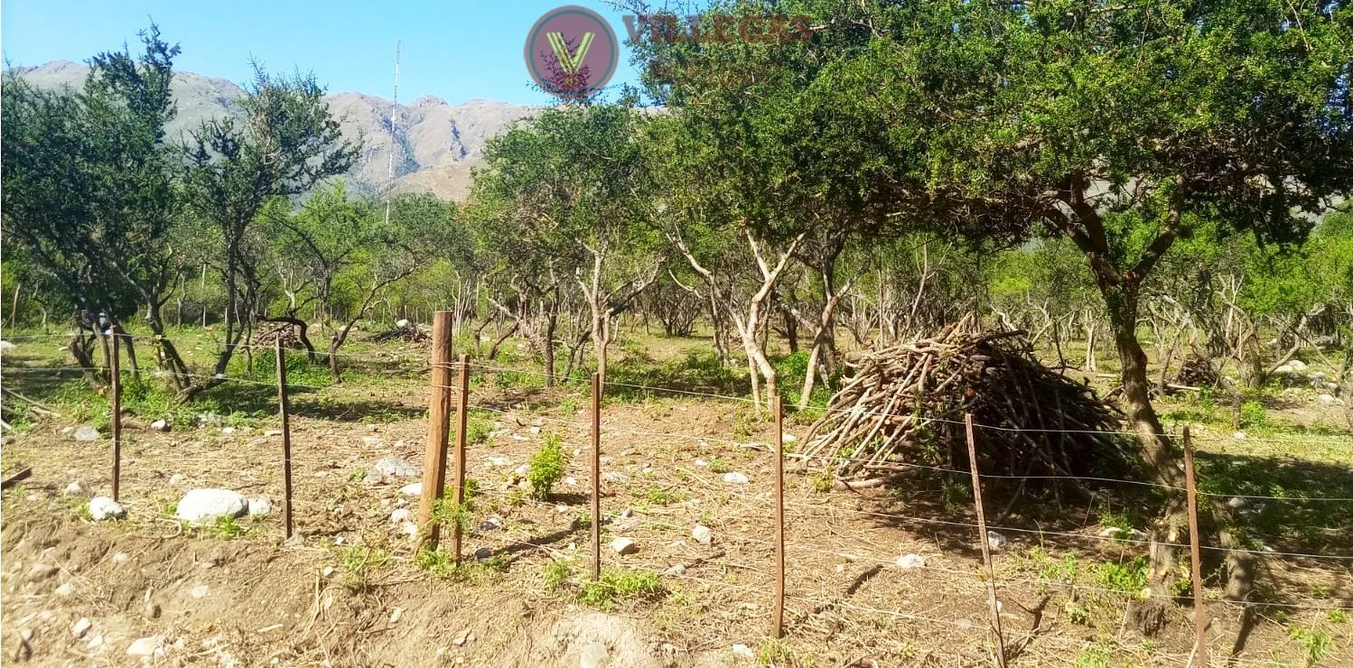 Foto 1 de TERRENO en VENTA en MERLO