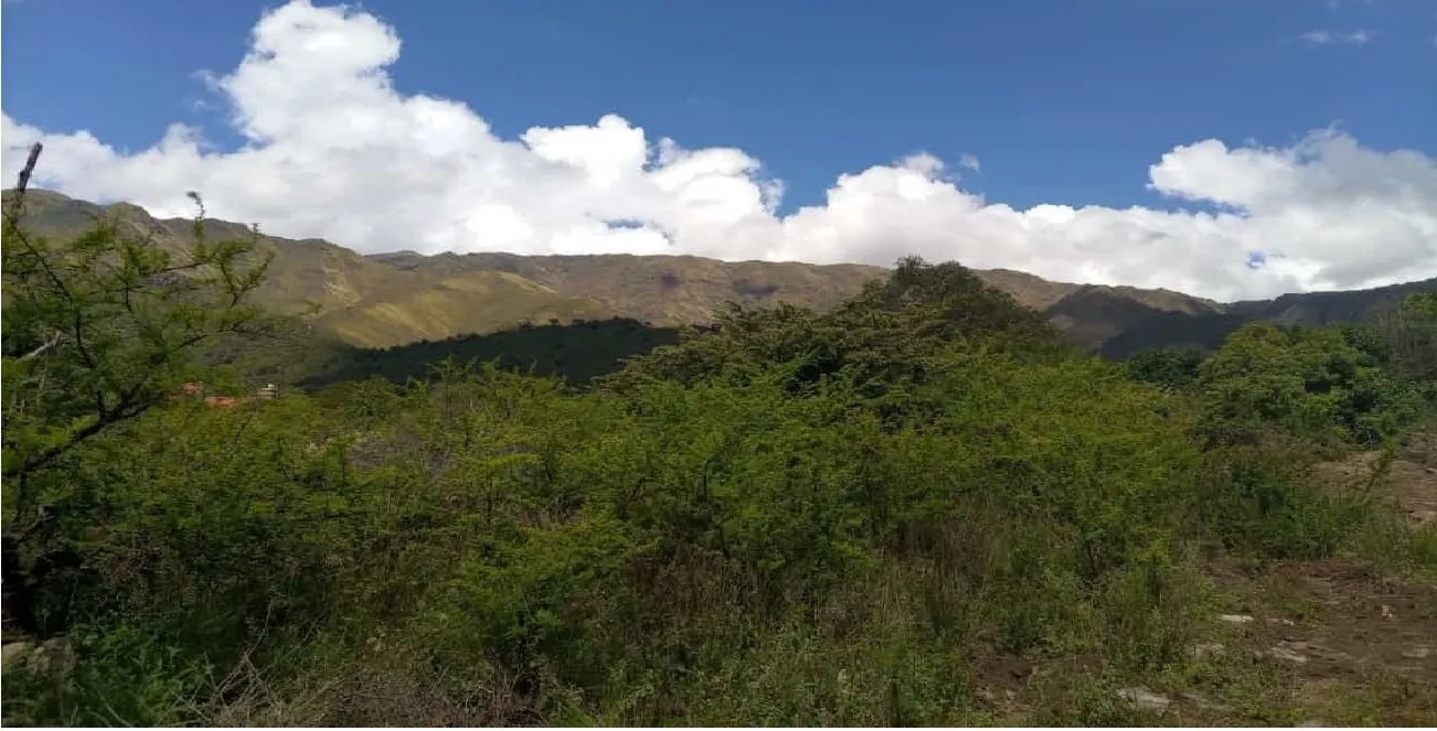 Foto 12 de TERRENO en VENTA en MERLO , SAN LUIS