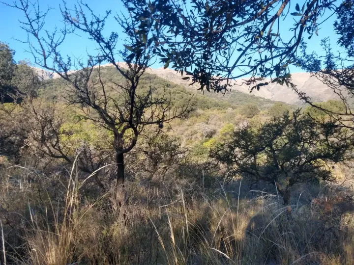 Foto 1 de TERRENO en VENTA en MERLO , SAN LUIS